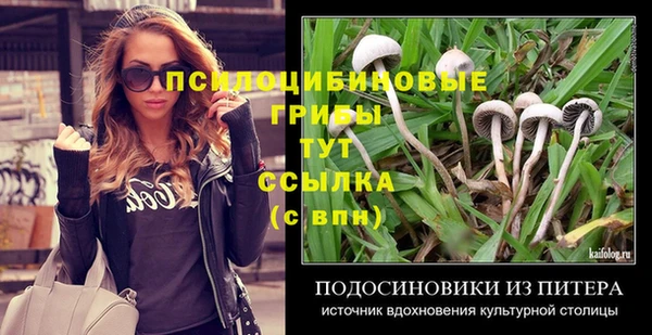 стаф Лагань