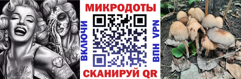 Галлюциногенные грибы Psilocybine cubensis Купить закладки Мамадыш